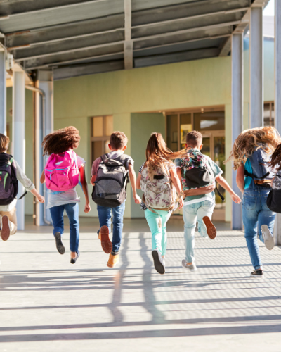 Progetto Discovery contro la dispersione scolastica: iniziano i lavori