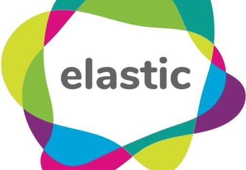 Logo progetto elastic