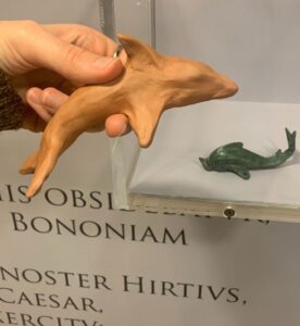 delfino in argilla vicino a reperto del delfino di claterna